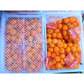 Fresh baby mandarinas naranjas hotsale